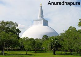 Anuradhapura_Vacasia Lanka_afz_aqil