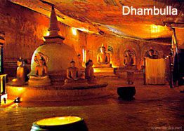 Dhambulla_Vacasia Lanka_afz_aqil