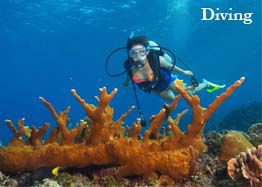 Diving_Vacasia Lanka_afz_aqil