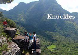 knuckles_Vacasia Lanka_afz_aqil