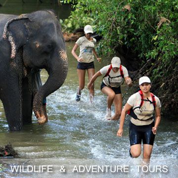 WILDLIFE & ADVENTURE TOURS_vacasia_Sri-Lanka_Colombo_afz_aqil